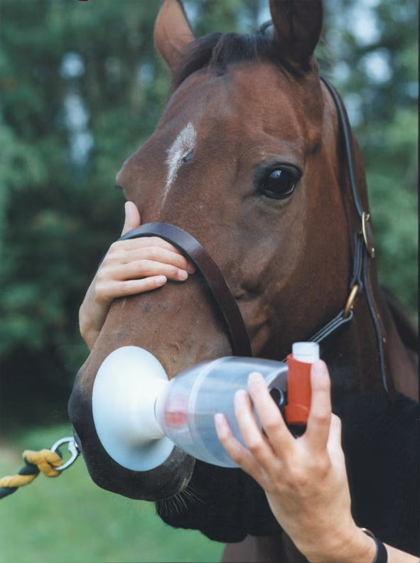 Equine Haler -inhalaatiomaski, hevosille