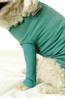 Dog & Cat Body Basic Safety Tube hihat (kartiomaiset)