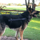 Kleck, nuolemisen estäjä