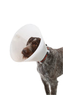 Buster Classic 7,5 - 30 cm, 10kpl