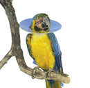 Kaulurisetti Buster linnuille