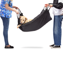 Smart Pet porter - kantolaukku /-matto