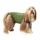 basics4vets Zipp off -suojapuku koirille