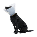 BUSTER Easy Collar -kauluri