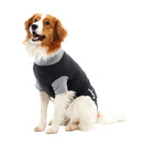 Buster Body Suits EasyGo koirille