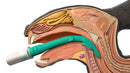 V-gel Advanced Larynxtubus (Kani), R1 0,6-1,5 Kg
