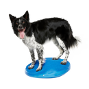 FitPaws-tasapainolevy, 55 cm