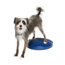FitPaws-tasapainolevy, 55 cm