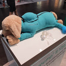 VetMedCare Dog System Body