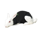 WDT Premium-suojapuku kaniinille