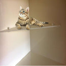 Korotettu kissanpeti XXL-, XL- ja ML-häkkeihin