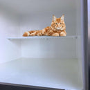 Korotettu kissan lepoalue M-Boxille