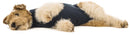 Suojapuku Medical Pet Shirt, sininen, koirille, XXXS - XXL
