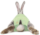 Suojapuku Medical Pet Shirt, vihreä, kaneille, XXXS - L