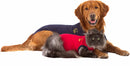 Suojapuku Medical Pet Shirt, sininen, koirille, XXXS - XXL