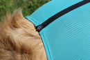 VetMedCare Bodies, narttu