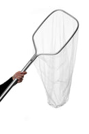 Kissojen kiinniottohaavi