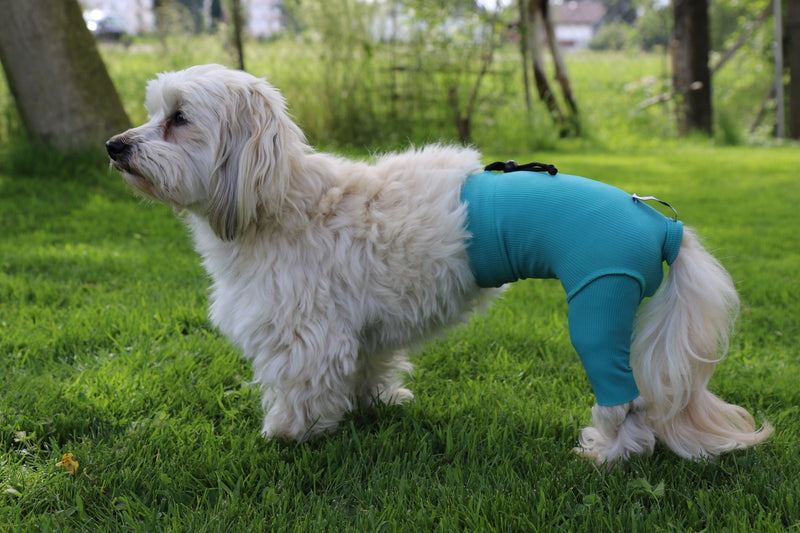 VetMedCare Safety Pants