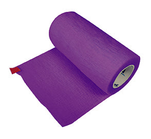 Bitter Strap Band