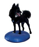 Rehab FitPaws-tasapainolevy, 55 cm