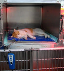 AniMat-carbon tech lämpömatto, 62 x 52 cm