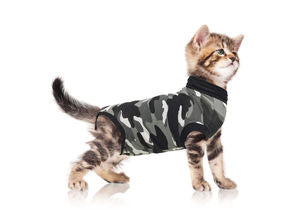 Suitical Recovery Shirt aloituspaketti, koirille ja kissoille